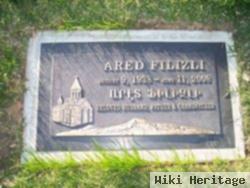 Ared Filizli