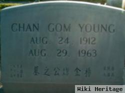 Chan Gom Young