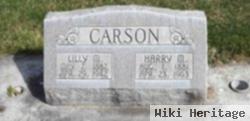 Lilly Christina Mcknight Carson