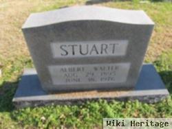 Albert Walter Stuart