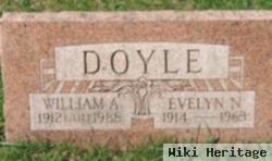 Evelyn N Sweger Doyle