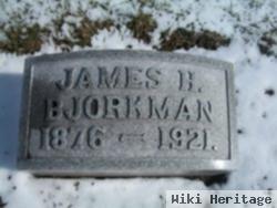 James Hugo Bjorkman