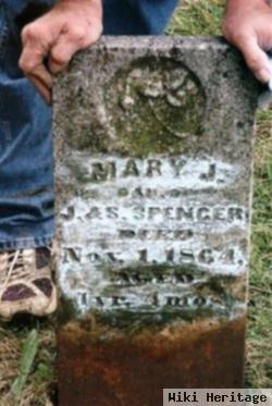 Mary J. Spencer