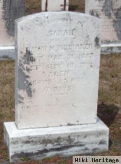 Sarah Kline Brubaker