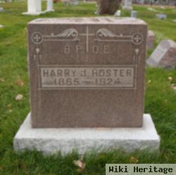 Harry J. Hoster