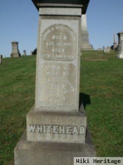 Lydia L. Whitehead