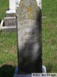 Moulton Hoyt