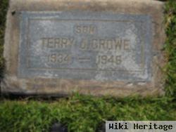 Terry J. Crowe