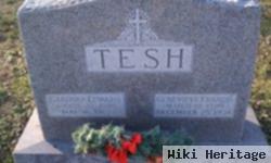 Gardner Edward Tesh