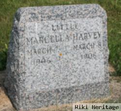 Marcella A. Harvey