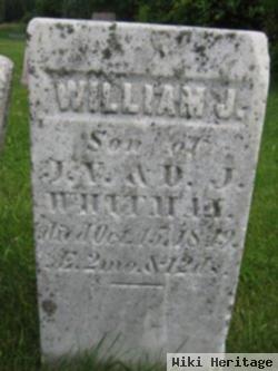 William J Whitman