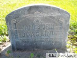 James Orin Goaslind