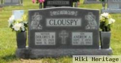 Dolores B. Borys Clouspy