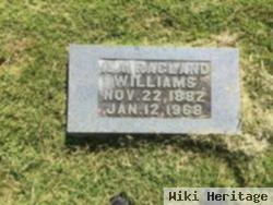 Ila Ragland Williams