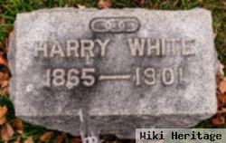 Harry White