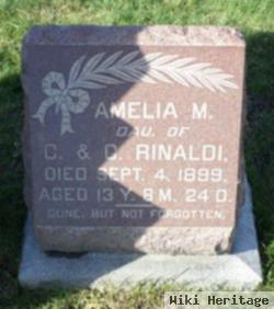 Amelia M. Rinaldi