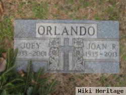 Joan R Lerro Orlando