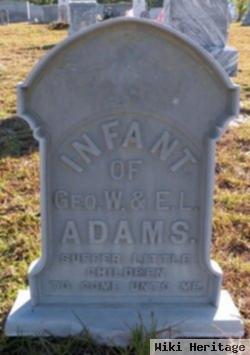 Infant Adams