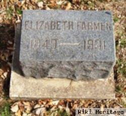 Amanda Elizabeth "lizzie" Buskirk Farmer