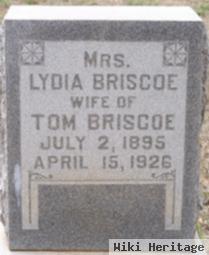 Mrs Lydia Hyman Briscoe