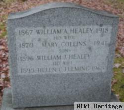 Helen C Fleming Healey