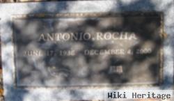 Antonio Rocha