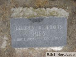 Delores M Jenkins Ives