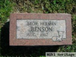 Bror Herman Benson