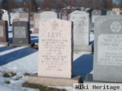 Harry L Levi