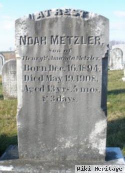 Noah S Metzler