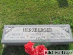 Henry D Herzberger