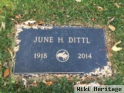 June H. Dittl