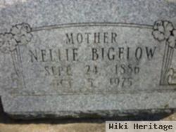 Nellie S. Bigelow