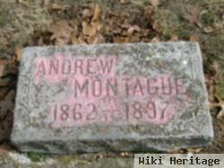 Andrew Montigue