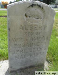 Albert Broadhead