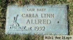 Carla Lynn Allred