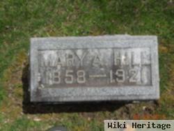 Mary Ann Alwine Hill