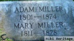 Adam Miller