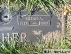 Suzan A Fisher