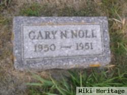 Gary N. Noll