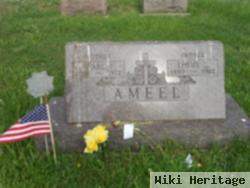 Louis T. Ameel