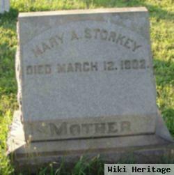 Mary Ann Keely Storkey