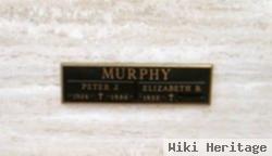 Peter J Murphy