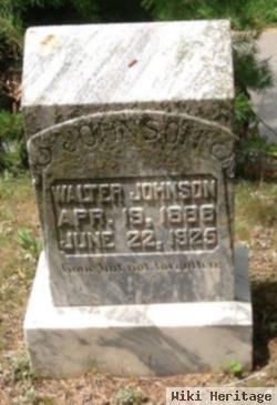Walter Johnson