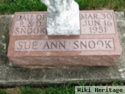 Sue Ann Snook