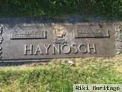 Virginia A Haynosch