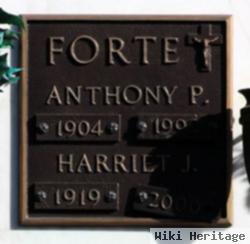 Anthony P. Forte