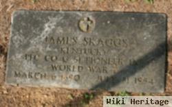 James Franklin Skaggs