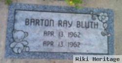 Barton Ray Bluth