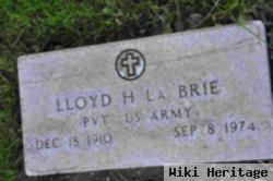 Lloyd H Brie